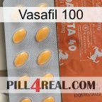 Vasafil 100 43